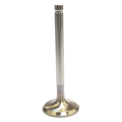 Intake Valve 1.4