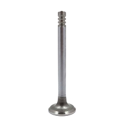 Valve, 998 A+ Intake, 1.094 - TAM1062