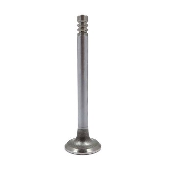 Intake Valve 1.22 Triple Groove Race - C-AEG588 